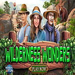 Wilderness Wonders Hidden4Fun