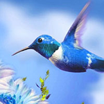 Wonderful Humming Bird Land Escape WowEscape