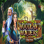 Woodland Wonders Hidden4Fun