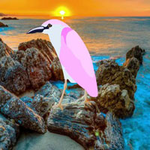 Woodpecker Escape From Island BigEscapeGames