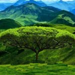 World Beautiful Mountain Escape Games2Rule