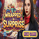 Wrapped In Surprise Hidden4Fun