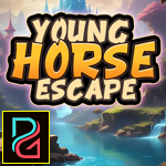 Young Horse Escape Games4King